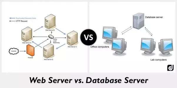 What are the Differences between Server and Database?